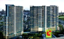 เดอะ ทรี อินเตอร์เชนจ์ (The Tree Interchange)