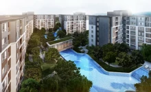 ดีคอนโด พิงค์ (dcondo ping)