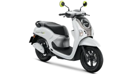 ฮอนด้า Honda Scoopy Club12 ปี 2024