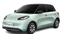 วู่หลิง Wuling Binguo EV AC ปี 2024