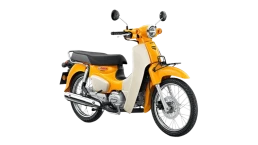 ฮอนด้า Honda Super Cub (Standard) ปี 2025