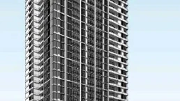 ไซมิส ควีนส์ (Siamese Queens)