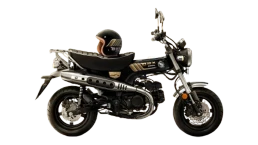 ฮอนด้า Honda DAX 125 Royal Limited Edition ปี 2025