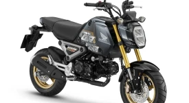 Honda MSX125 ทุกย่อย