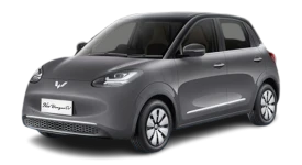 Wuling Binguo EV ทุกย่อย