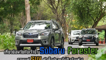 เที่ยวย้อนวัยกับเจ้าป่า Subaru Forester รถยนต์ SUV ตัวท็อปราคาไม่ถึงล้านห้า!