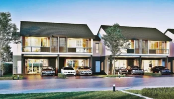 ปาล์มสปริงส์ 12 (Palmspring 12)