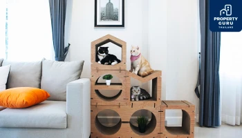 "เมเจอร์ ดีเวลลอปเม้นท์" คัด 5 ไอเท็มสุดคิวท์ เอาใจคนเลี้ยงสัตว์ในคอนโดให้เลือกช้อปอย่างจุใจ