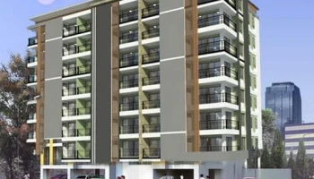 เดอะ วิสด้อม เบิร์ก (The Wisdom Burg)