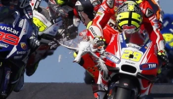 เอียโนเน่ นักบิดทีมดูคาติสอยนกนางนวลร่วงระหว่างแข่งโมโตจีพี