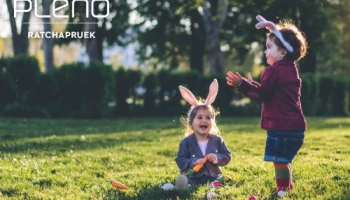 พรีเมียมทาวน์โฮมดีไซน์ใหม่ "Grande Pleno ราชพฤกษ์" ใกล้รถไฟฟ้า+ทางด่วน เริ่ม 2.XX ล้าน* ลงทะเบียนรับสิทธิพิเศษ