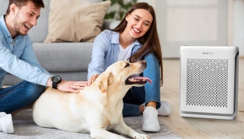 เลอวอย ตอบโจทย์ไลฟ์สไตล์เหล่าคนรักสัตว์กับเครื่องฟอกอากาศรุ่นล่าสุด “Levoit Vital 200S”