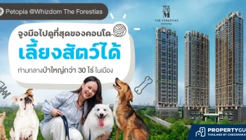 จูงมือไปดู Whizdom The Forestias PETOPIA คอนโดเลี้ยงสัตว์ได้ ที่สมบูรณ์แบบที่สุดในไทย ท่ามกลางป่าใหญ่กว่า 30 ไร่ในเมือง