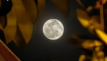 HUAWEI ร่วมมือกับ การท่องเที่ยวแห่งประเทศไทย (ททท.) เปิดตัว HUAWEI P60 Pro นำเทคโนโลยีกล้องสมาร์ทโฟน ชูสถานที่ท่องเที่ยวยามค่ำคืนผ่านมุมมองเยาวชนคนรุ่นใหม่