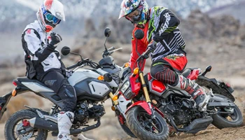 มินิไบค์ "Honda MSX125" (GROM) แอดเวนเจอร์แบบนี้ก็ได้เหรอ