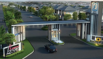 Modern Stripe Contemporary