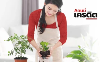 สินเชื่อ Mortgage Power (สินเชื่อมอร์เกจพาวเวอร์)