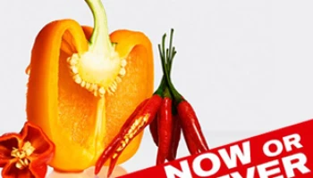 แสนสิริ จัดแคมเปญ "NOW OR NEVER" ต้อนรับไตรมาส 4 แซ่บ เผ็ด ร้อน กับยูนิตสุดฮอต ลดสูงสุดกว่า 3 ล้าน