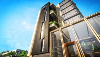 ฟินน์ อารีย์ (Fynn Aree)