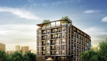 โฟกัส แอท เพลินจิต (Focus at Ploenchit)