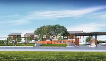 ดิ เอ็มเบรส (The Embrace)