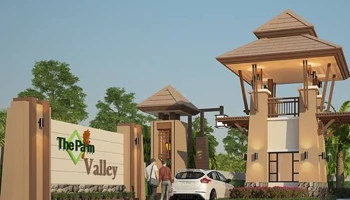 เดอะปาล์ม วัลเล่ย์ พลูตาหลวง (Thepalm vallay)
