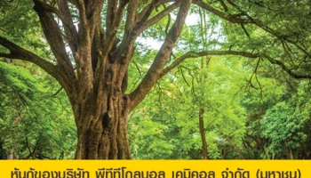 หุ้นกู้ของบริษัท พีทีทีโกลบอล เคมิคอล จำกัด (มหาชน) ครั้งที่ 1/2562 ครบกำหนดไถ่ถอนปี พ.ศ. 2567