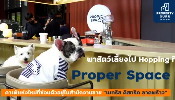 พาสัตว์เลี้ยงไป Hopping ที่ "Proper Space" คาเฟ่แห่งใหม่ที่ซ่อนตัวอยู่ในสำนักงานขาย "เมทริส ดิสทริค ลาดพร้าว"