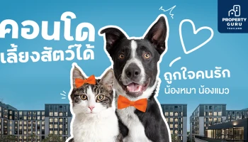 10 คอนโดเลี้ยงสัตว์ได้ 2024 ถูกใจคนรักน้องหมา น้องแมว
