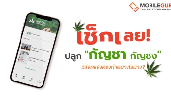 เช็กเลย! อยากปลูก กัญชา-กัญชง วิธีจดแจ้งต้องทำอย่างไรบ้าง?