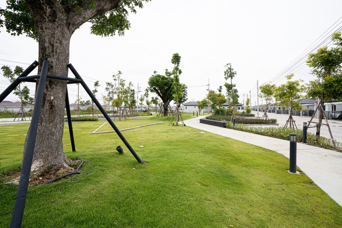 รูปภาพ เอ็ม วิลเลจ บางปะกง (M Village Bangpakong)