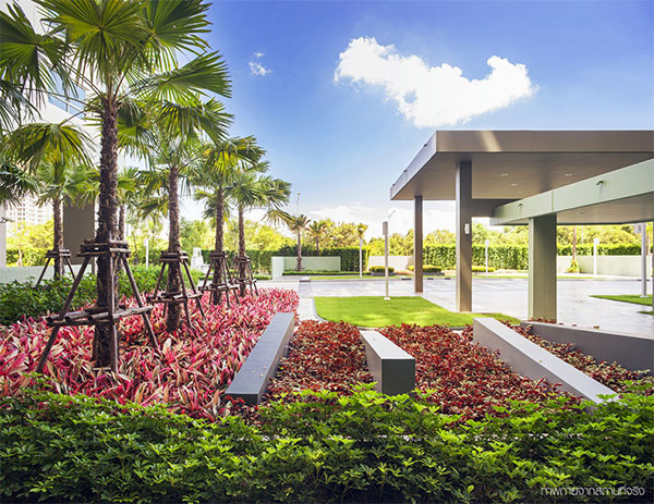 รูปภาพ ลุมพินี ซีวิว ชะอำ (Lumpini SeaView Cha-am)