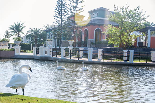 รูปภาพ โกลเด้น วิลเลจ อ่อนนุช-พัฒนาการ (Golden Village)