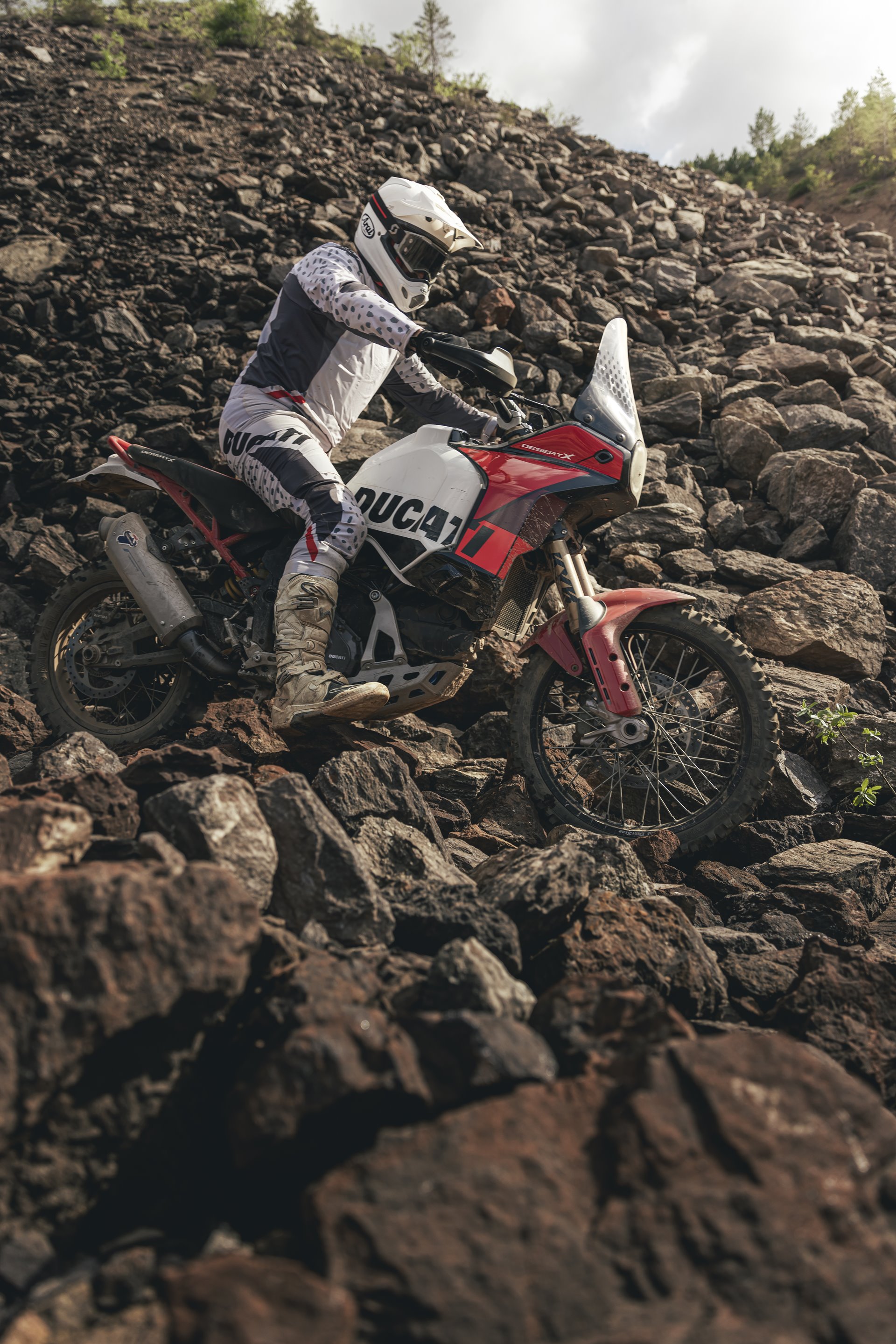 รูปภาพ ดูคาติ Ducati DesertX Rally ปี 2024