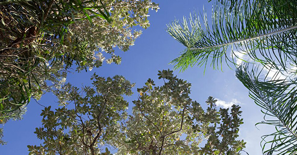 รูปภาพ เอคิว เชดิ พหลโยธิน-รังสิต (AQ Shadi Phaholyothin-Rangsit)