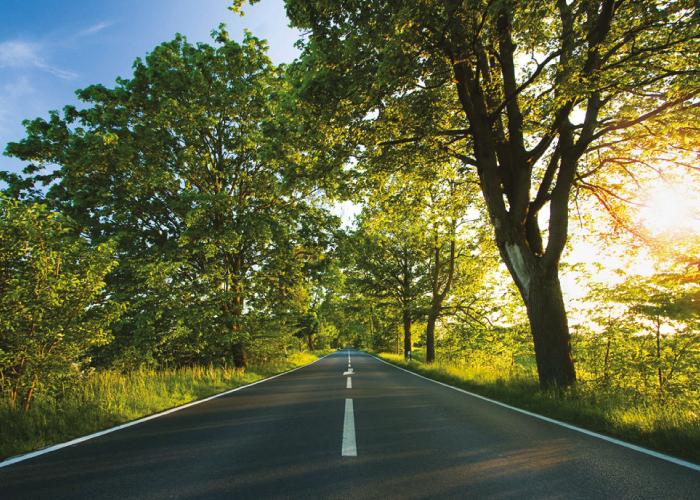 รูปภาพ เลค วัลเลย์ (Lake Valley)