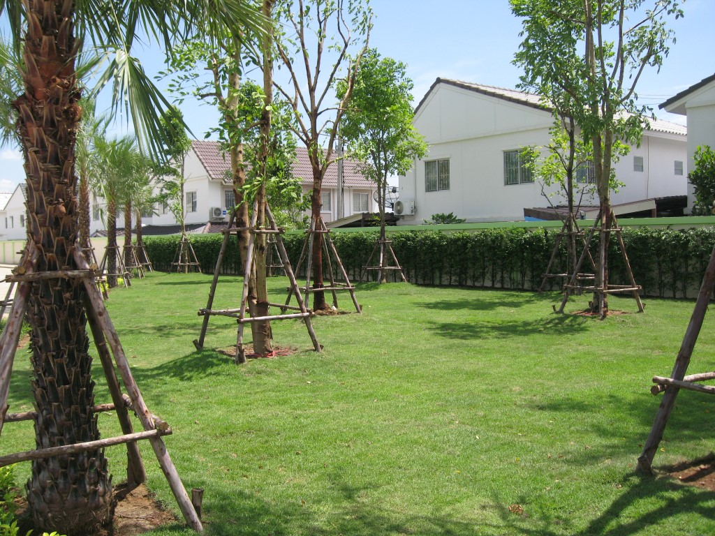 รูปภาพ บ้านราชพฤกษ์ ประตูน้ำพระอินทร์ เฟส 2 (Baan Ratchapruek Pratunam Pra-inn Phase 2)