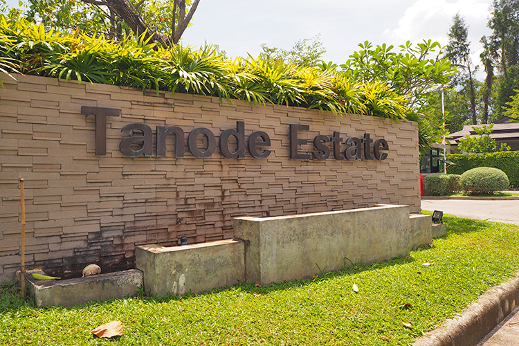 รูปภาพ โตนด เอสเตท (Tanode Estate)