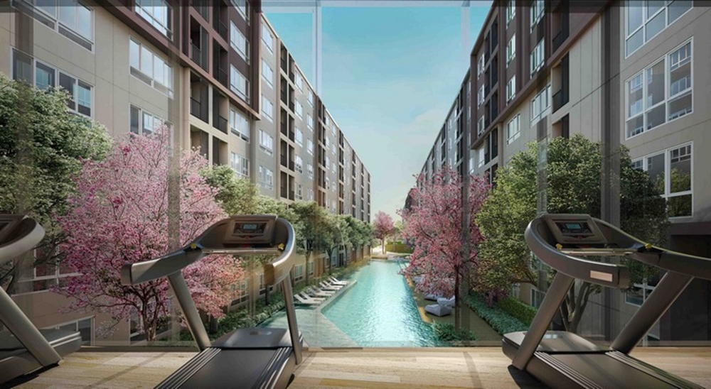 รูปภาพ ดีคอนโด แคมปัส กำแพงแสน (dcondo Campus Kampangsaen)