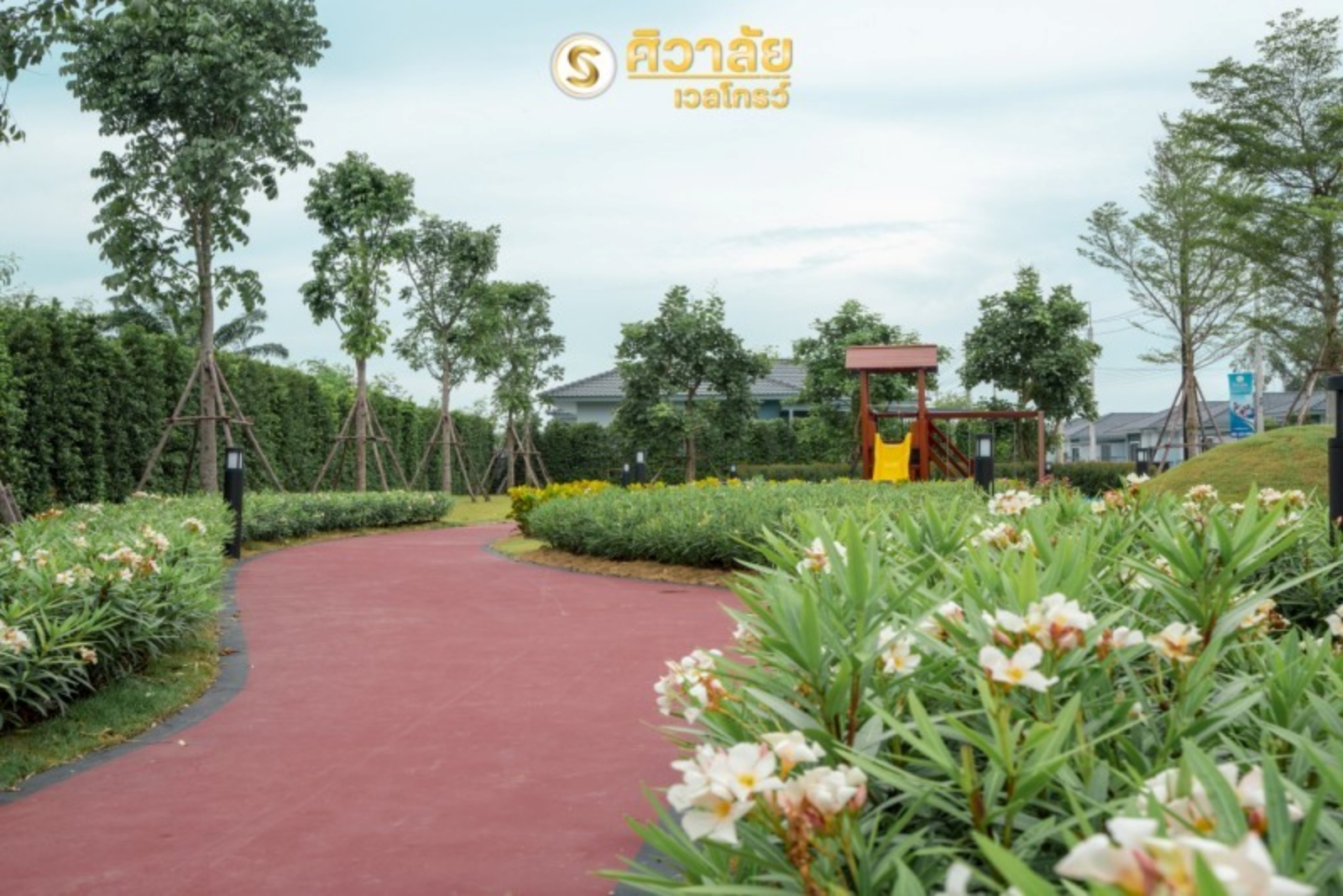 รูปภาพ ศิวาลัย เวลโกรว์ (Sivalai Wellgrow)