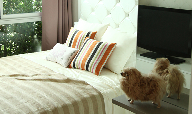 รูปภาพ เมโทรลักซ์ เกษตร (Metro Luxe Kaset)