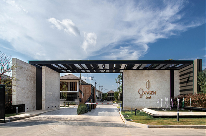 รูปภาพ ออกซิเจน ลีฟ (Oxygen Leaf)