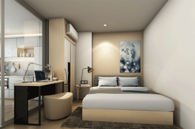 รูปภาพ ไซมิส นางลิ้นจี่ (Siamese Nang Linchee)