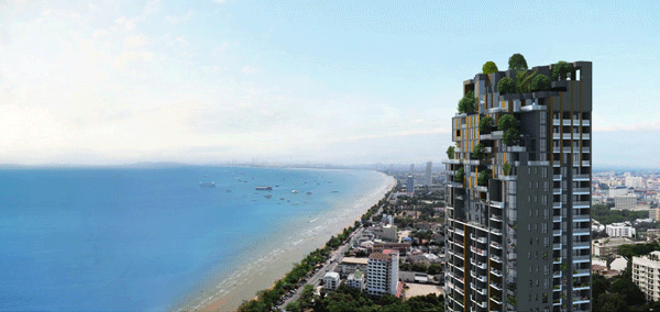 รูปภาพ แอราส (Aeras)