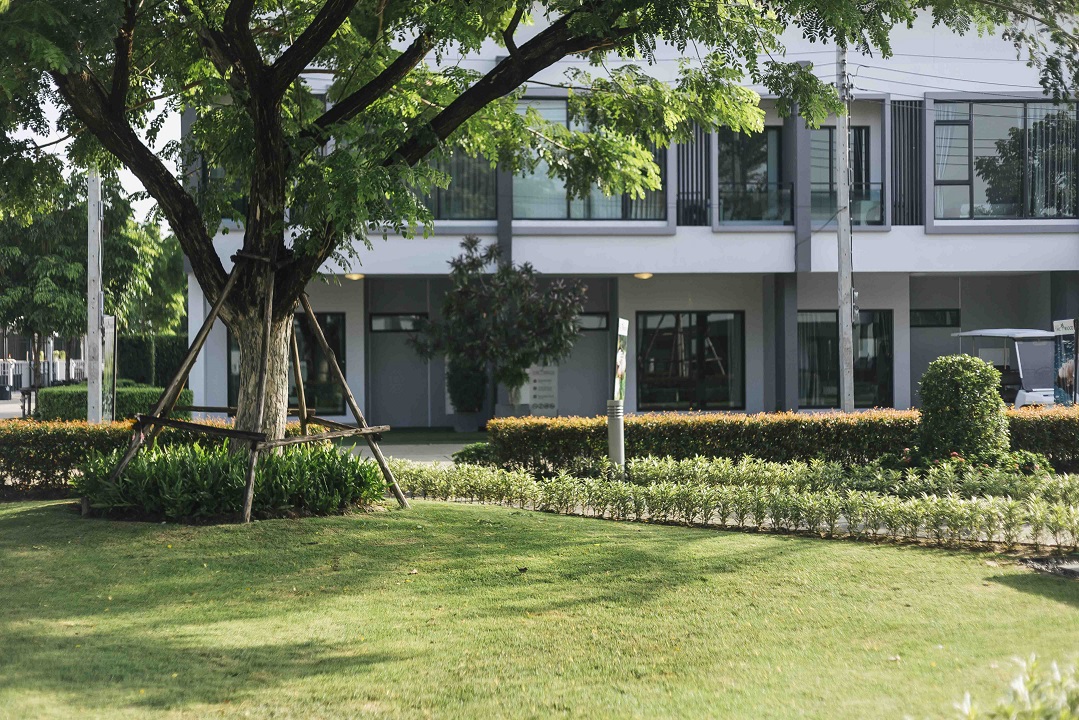 รูปภาพ เดอะริคโค้ ทาวน์ พหลโยธิน-สายไหม (The Ricco Town Phahonyothin - Saimai)