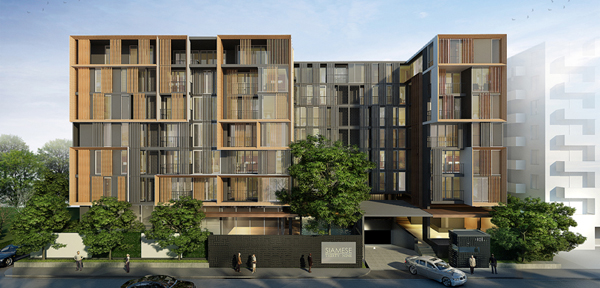 รูปภาพ ไซมิส เทอร์ตี้ ไนน์ (Siamese Thirty Nine)