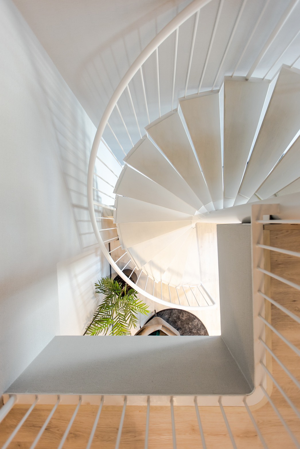 รูปภาพ เวนิว พระราม 9 (Venue Rama 9)