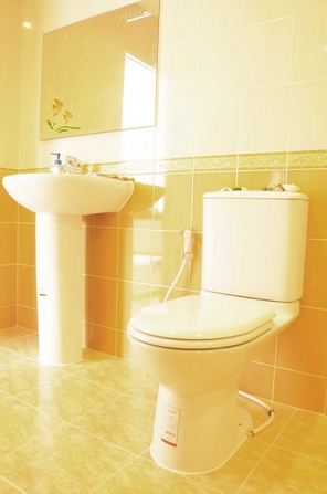 รูปภาพ เดอะ วิสด้อม เบิร์ก (The Wisdom Burg)