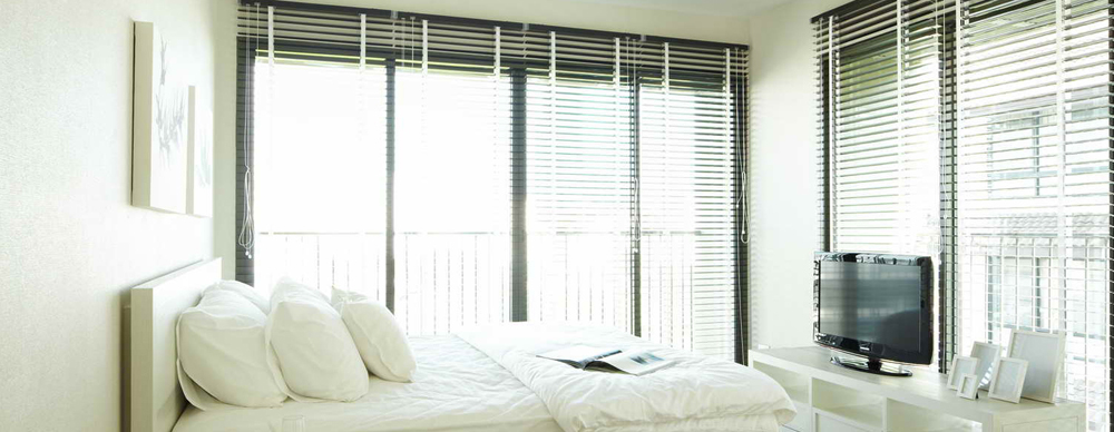 รูปภาพ โนเบิล โซโล (Noble Solo)