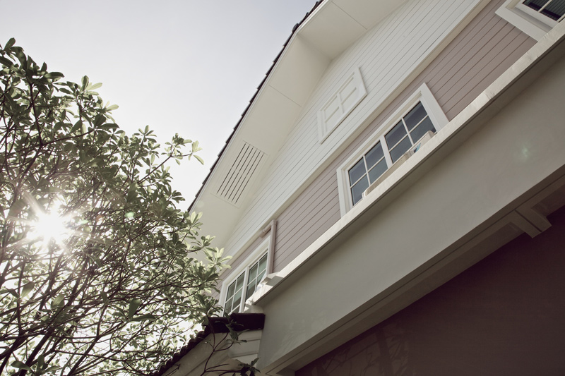 รูปภาพ บุราสิริ ปัญญาอินทรา (Burasiri Panyaindra)